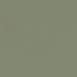 4184 Olive