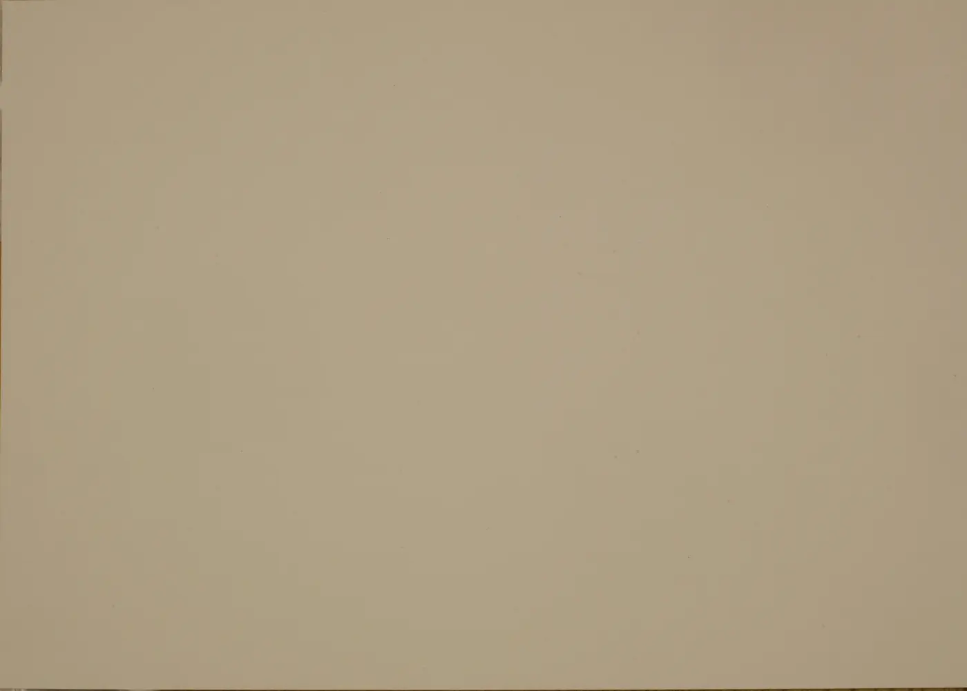 Fenix 0719 Beige Luxor