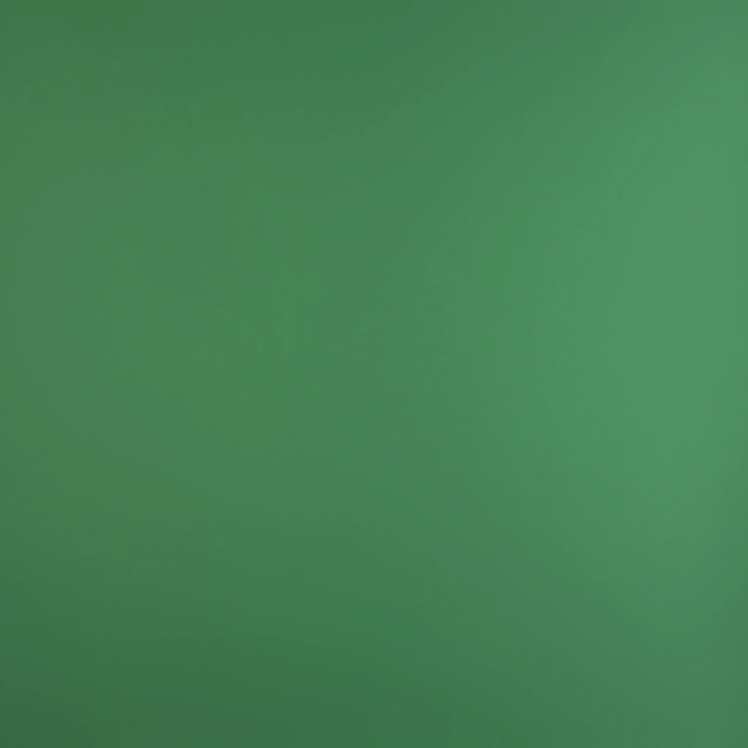 Fenix 0773 Verde Brac