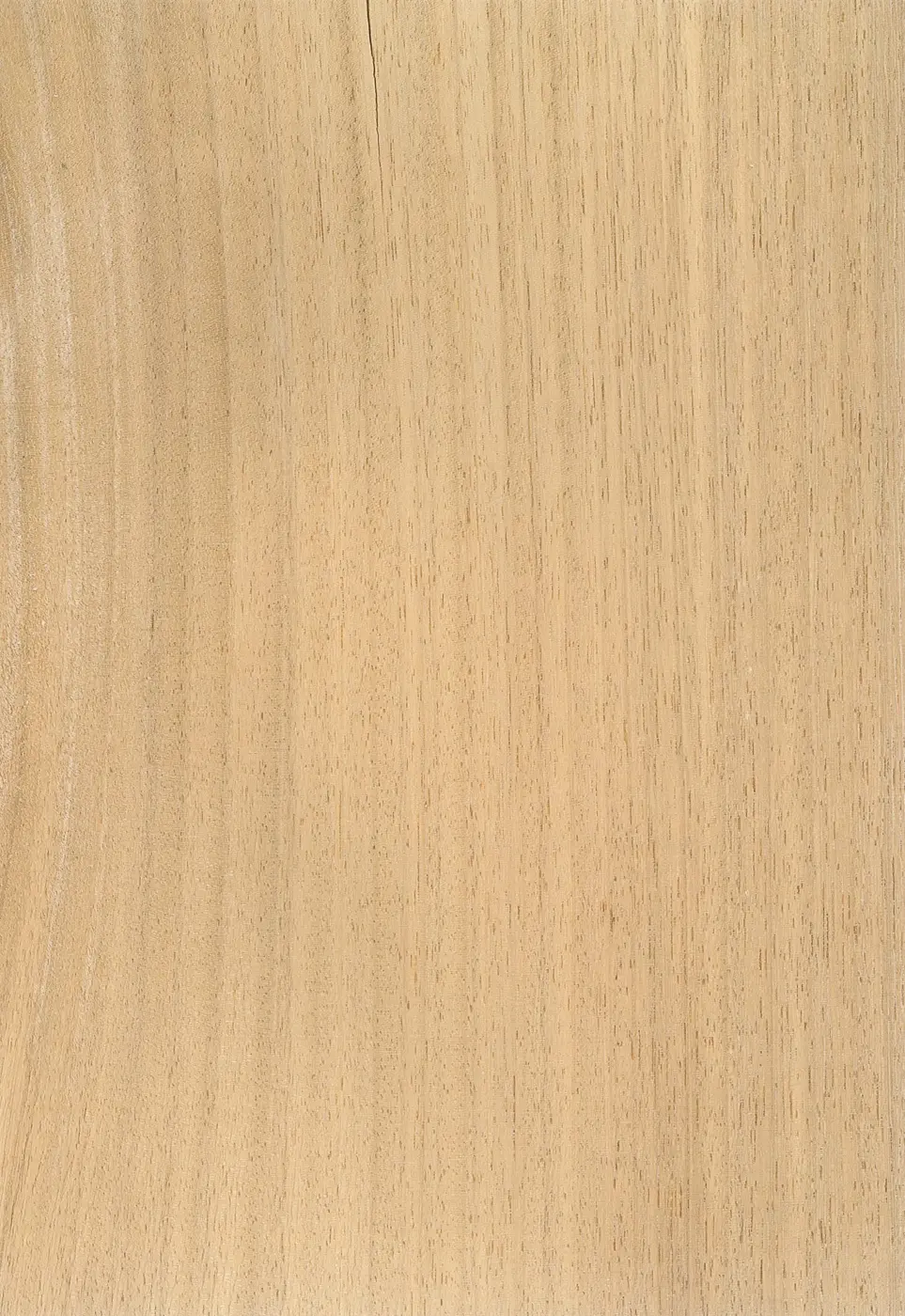 Iroko