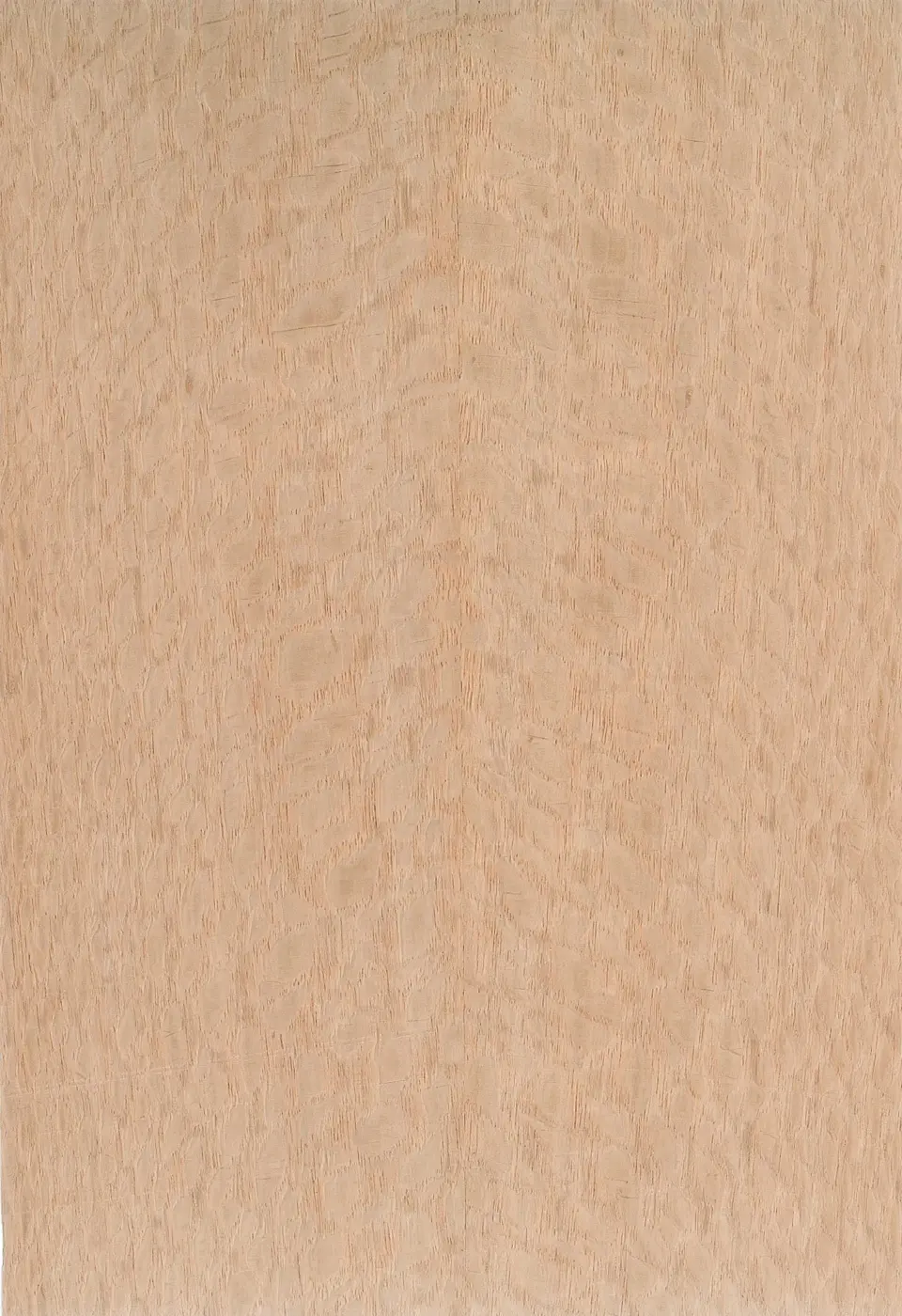Lacewood