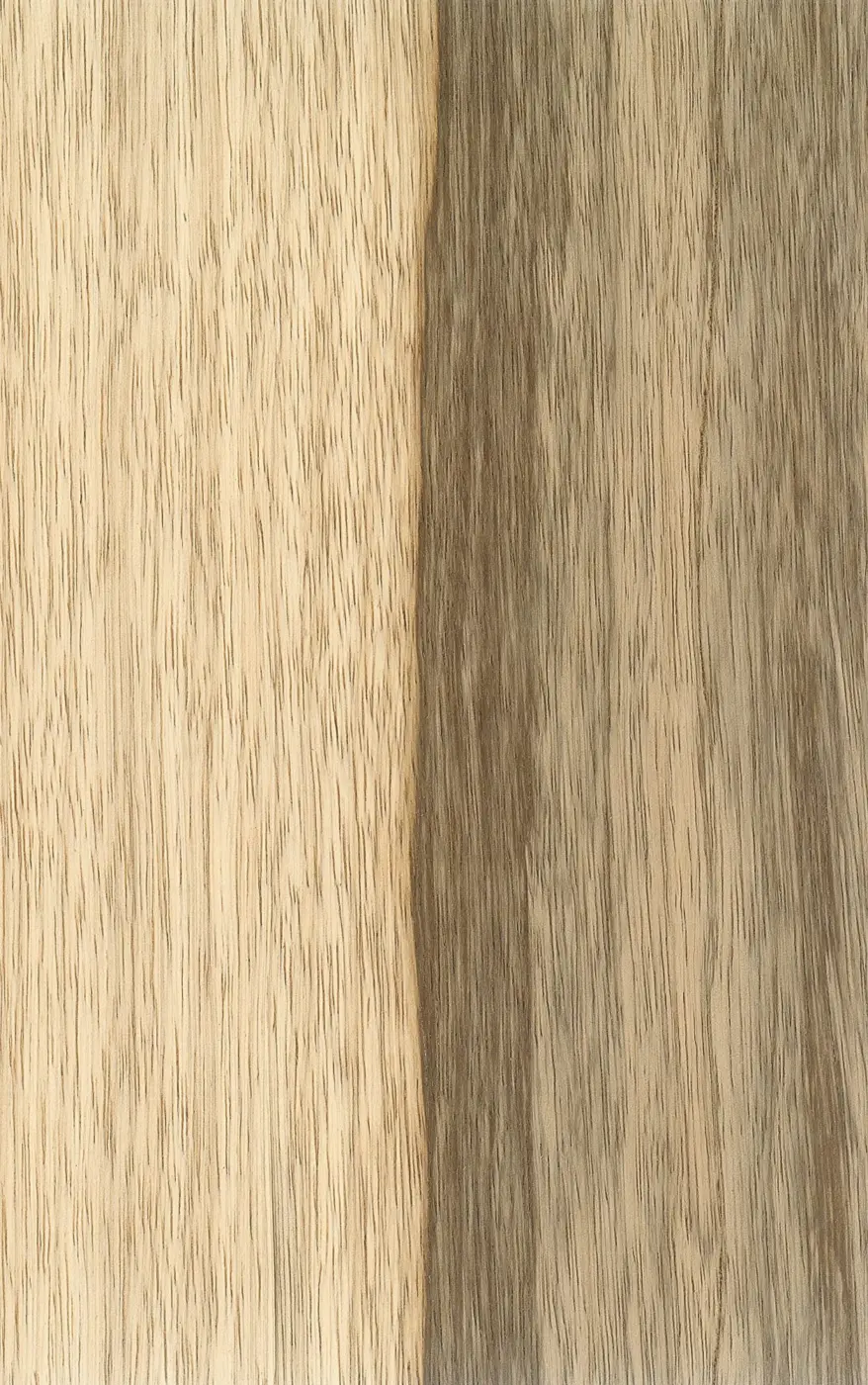 Limba