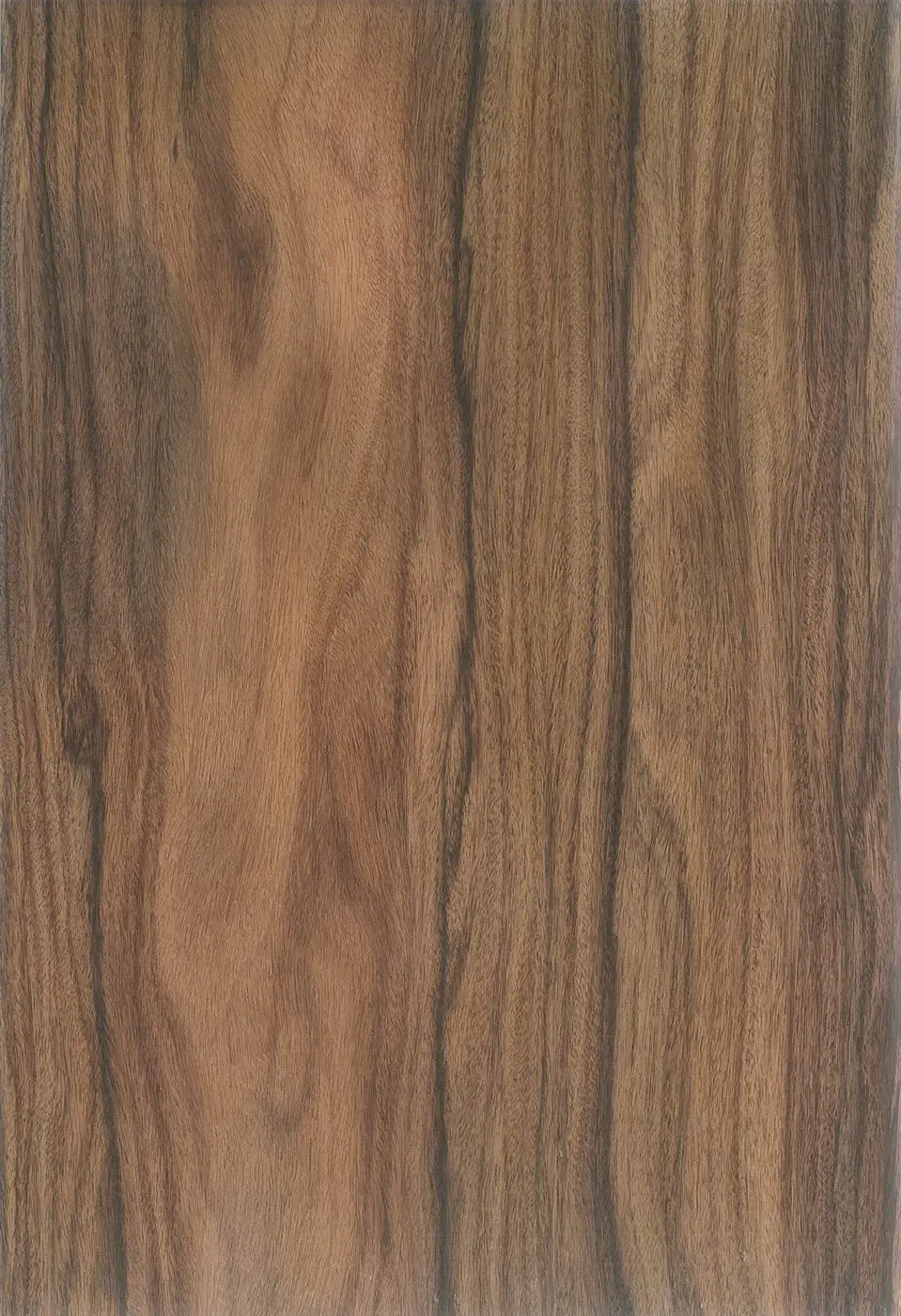 Palisanteri Santos