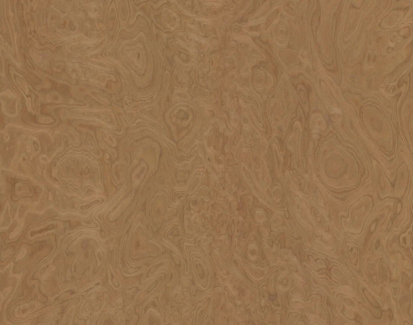 ALPI Walnut Burl 10.07