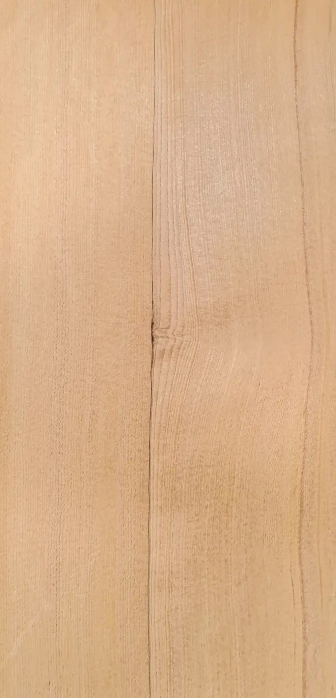 Hemlock
