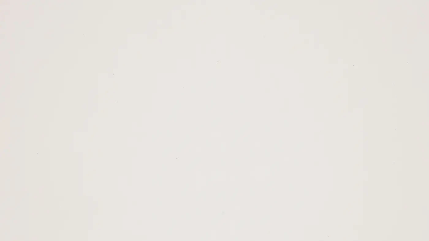 Arpa Porcellana 0244
