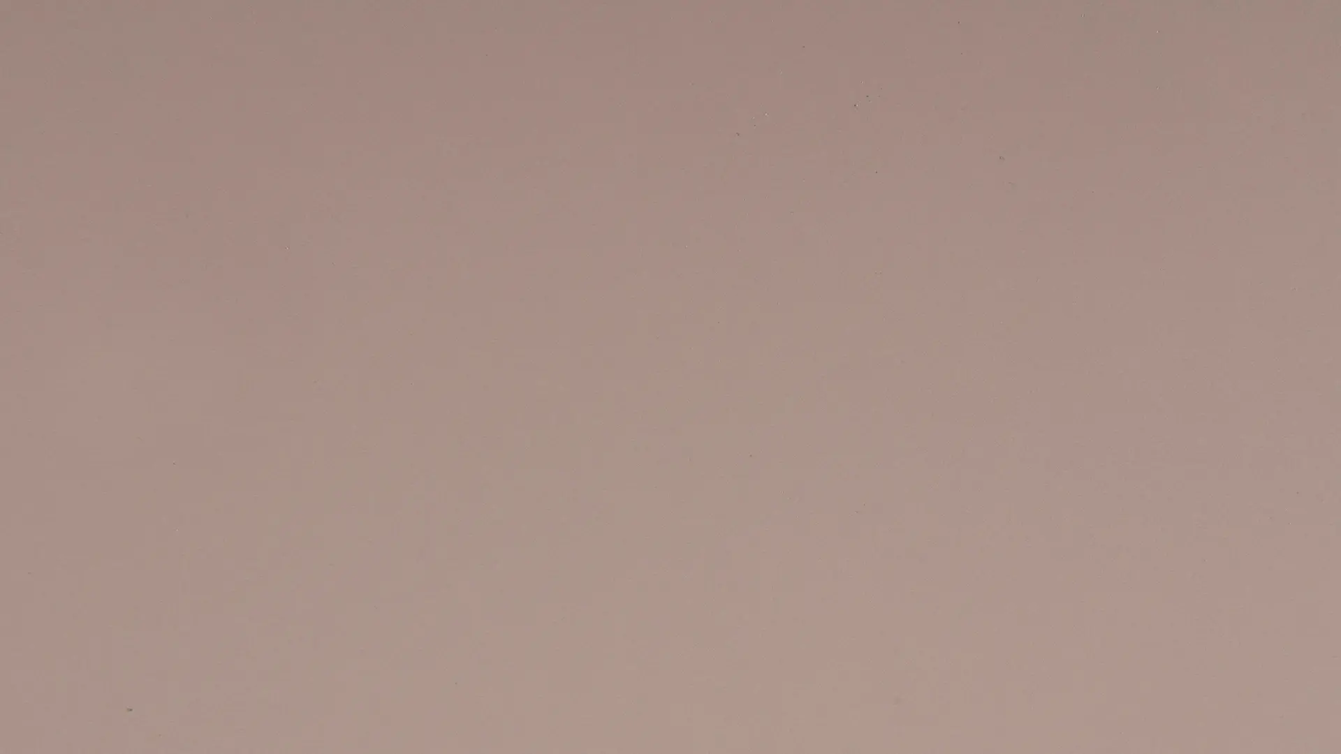 Arpa Rosa Bourbon 0275