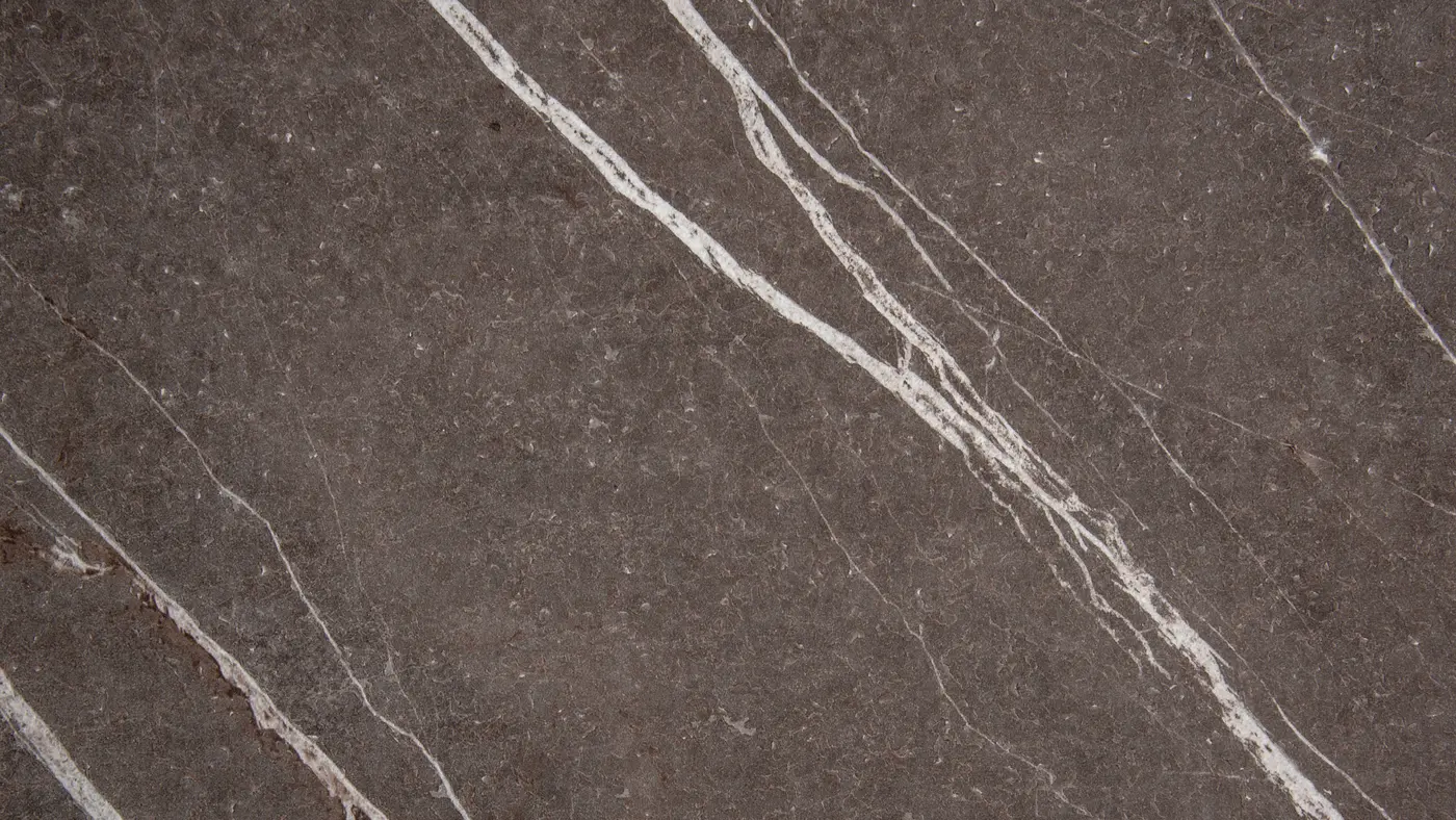 Arpa Pulpis Grey 3445