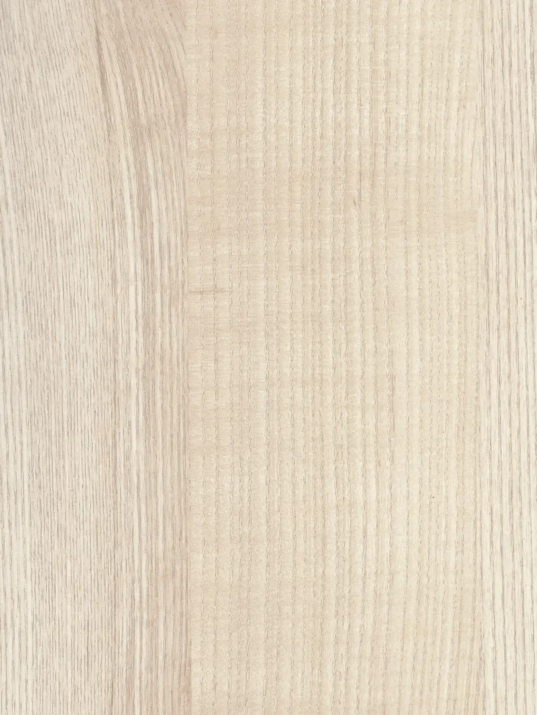 Arpa Frassino Americano 4521