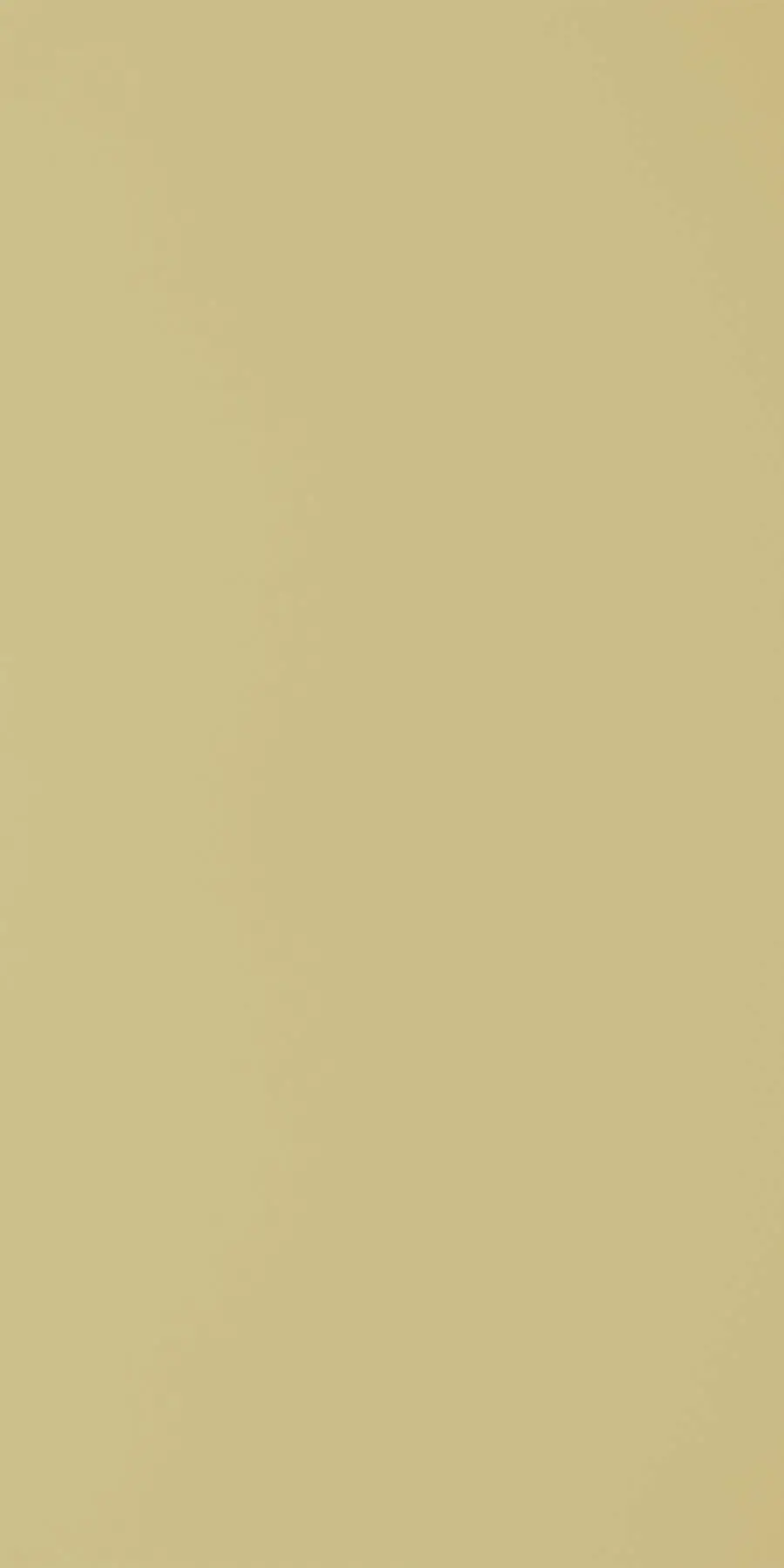 Greenlam beige 141 SUD